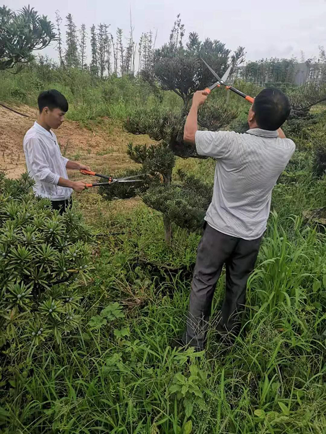 &#20061;&#28216;&#24179;&#21488;&#45;&#20061;&#28216;&#40;&#20013;&#22269;&#41;&#19968;&#31449;&#24335;&#26381;&#21153;&#24179;&#21488;